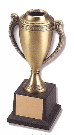 Corporate Trophy