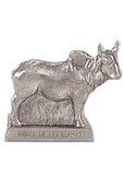 P9479 Coin Bank