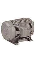 P9564 Coin Bank