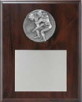 Plaque