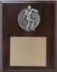 Plaque