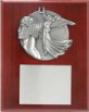 Plaque