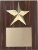Plaque