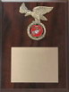 Plaque