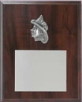 Plaque