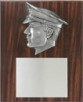Plaque