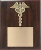 Plaque
