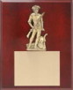 Plaque