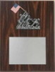 Plaque