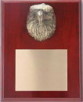 Plaque