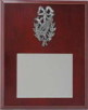 Plaque