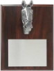 Plaque
