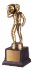 Professional Trophy