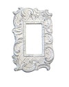 Switchplate